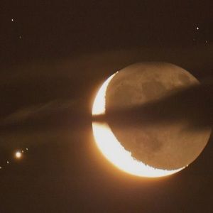 Meet your Posher, Priscilla